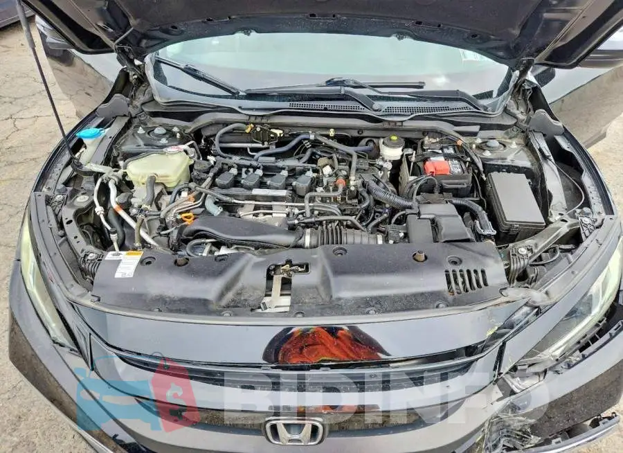 19XFC1F35LE206645 Photo# 11