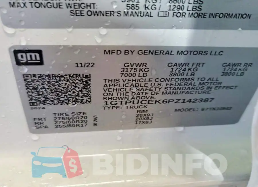 1GTPUCEK6PZ142387 Photo# 13