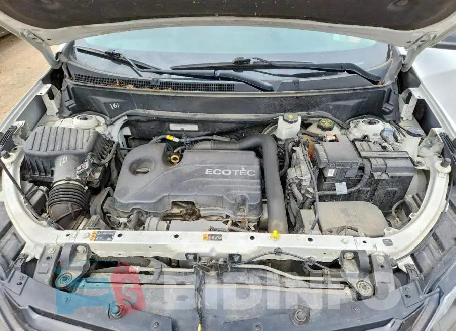 3GNAXTEV4LS504318 Photo# 12
