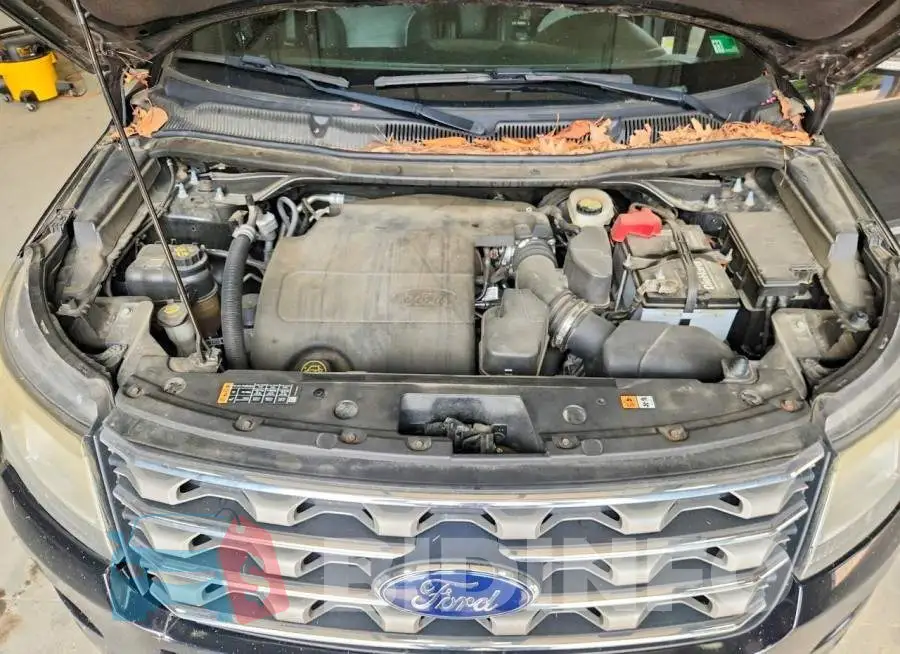 1FM5K8D80HGC44406 Photo# 12