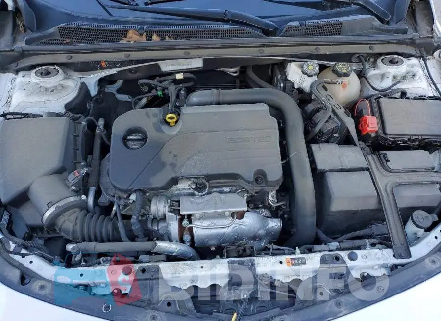 1G1ZD5ST4PF184424 Photo# 11