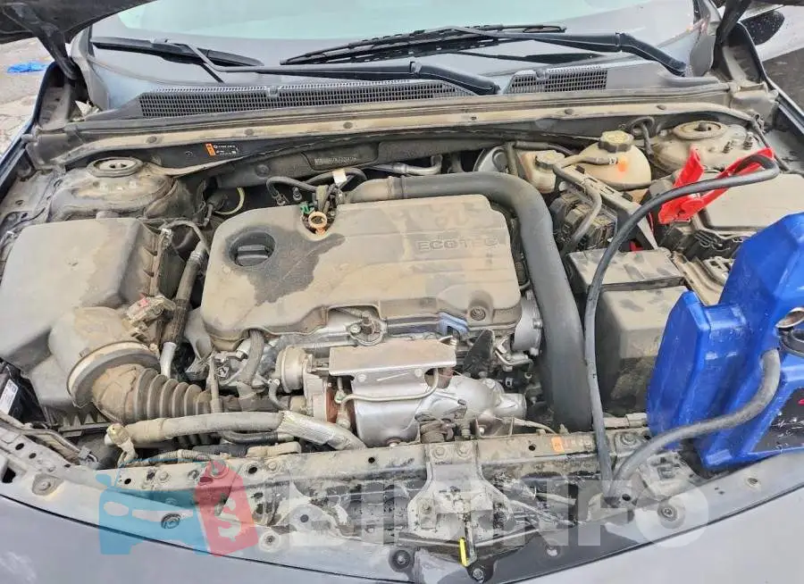 1G1ZD5ST8LF026436 Photo# 11