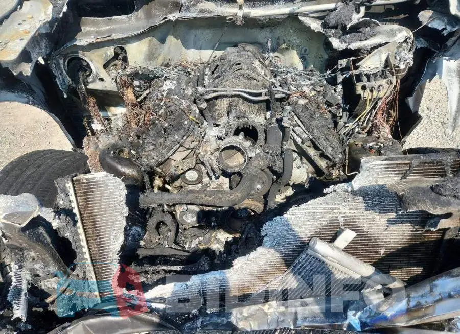 1FTFW1E54MKE52532 Photo# 11