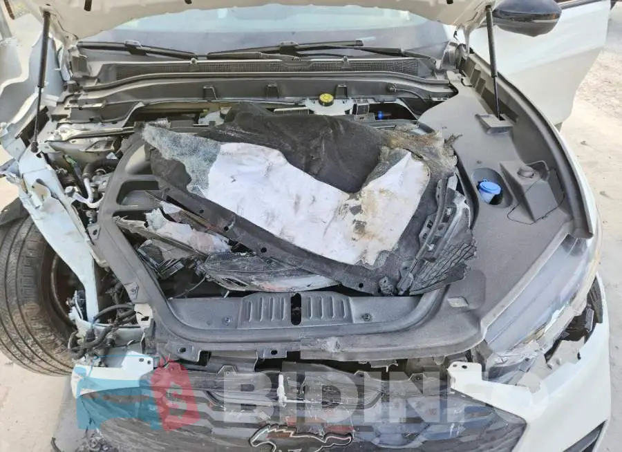 3FMTK4SX0SMA55133 Photo# 12
