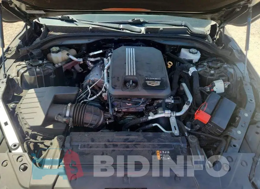 1G6DN5RK8L0151471 Photo# 11