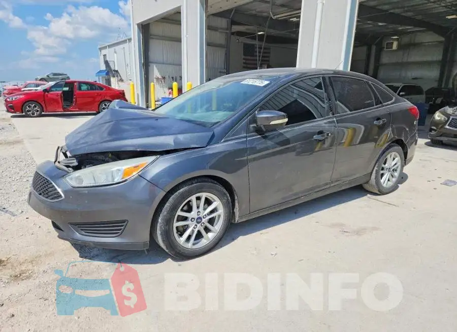 1FADP3F24HL266869 Photo# 1