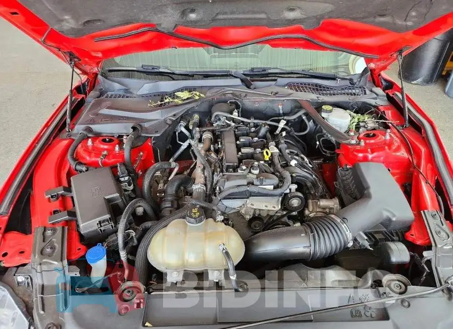 1FATP8UH1M5105748 Photo# 11
