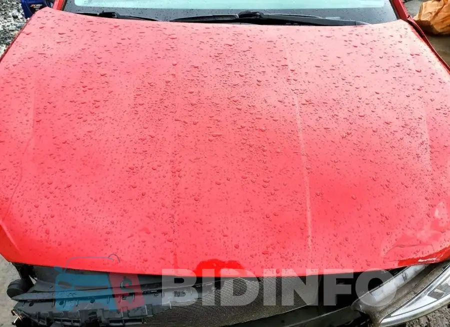 5NPD84LF7KH452423 Photo# 11