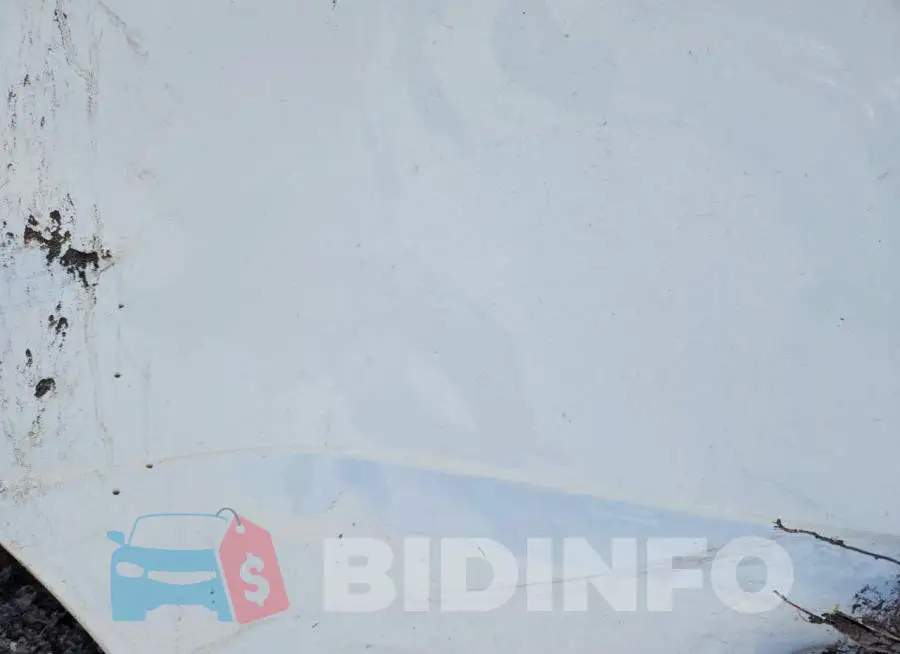 1FTBF2BA0PEC61117 Photo# 10