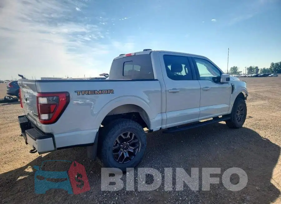 1FTEW1E8XPFC95981 Photo# 3