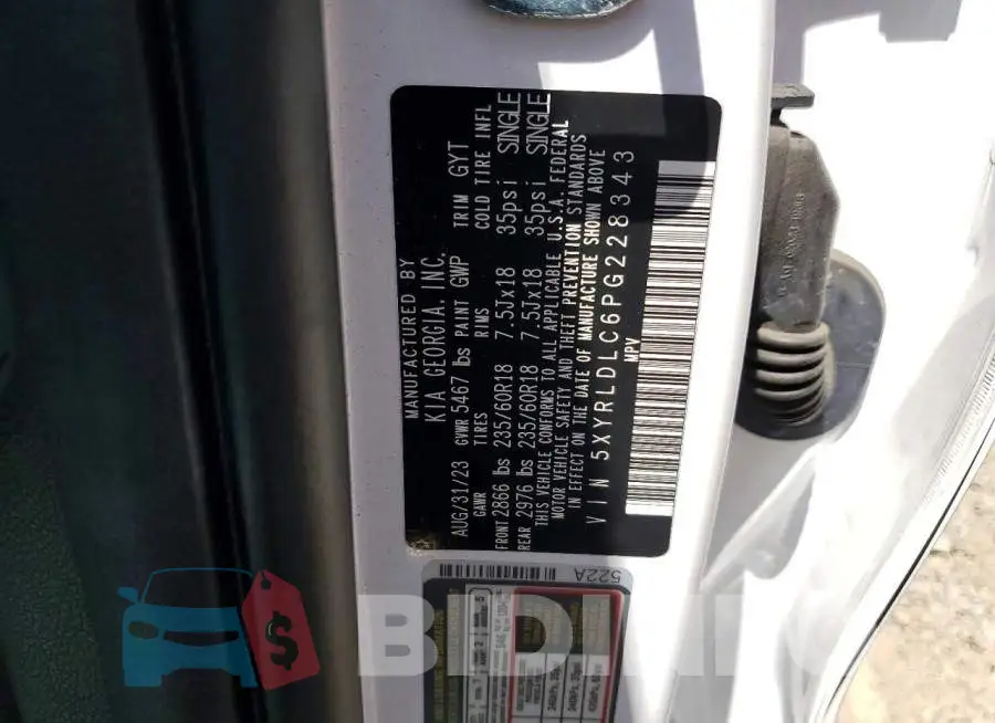 5XYRLDLC6PG228343 Photo# 13