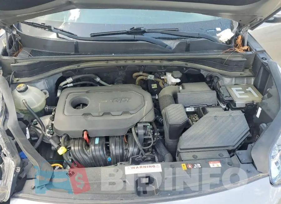 KNDPN3AC5M7858930 Photo# 11