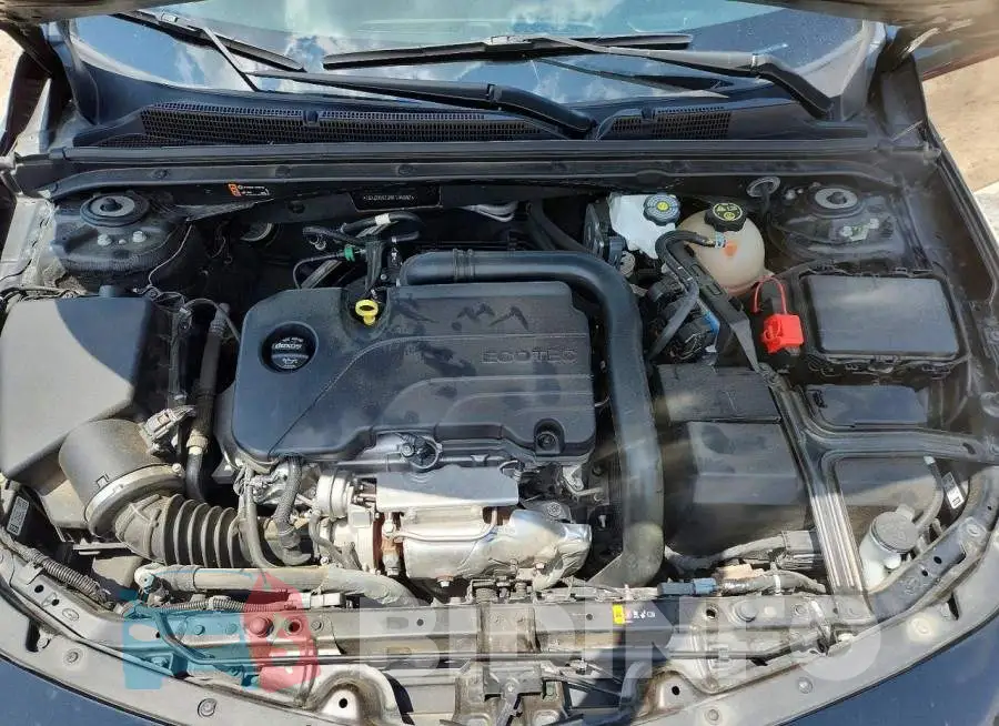 1G1ZD5ST2RF134897 Photo# 11