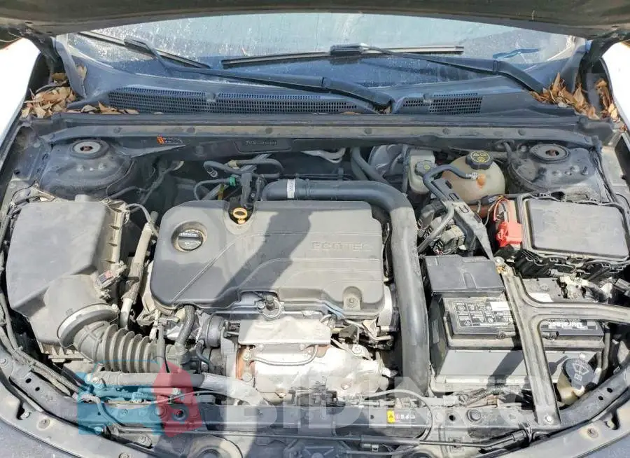 1G1ZD5ST4JF201181 Photo# 11