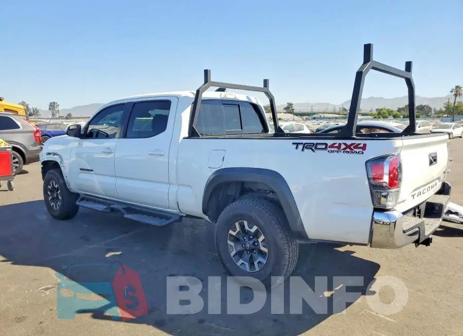 3TMDZ5BNXPM156194 Photo# 2