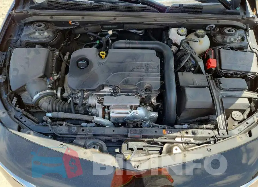1G1ZD5ST5RF229406 Photo# 11