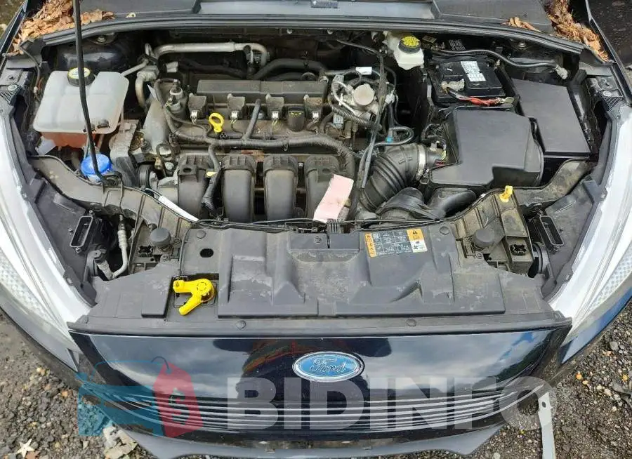 1FADP3F29JL299694 Photo# 11