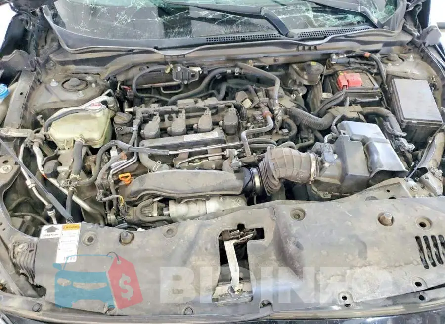 19XFC1F72HE202384 Photo# 11