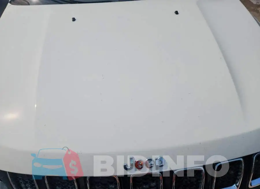 3C4NJDCB4LT245883 Photo# 12