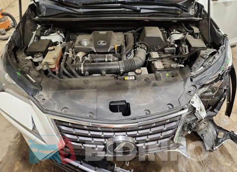 JTJGARDZ4M5019245 Photo# 12