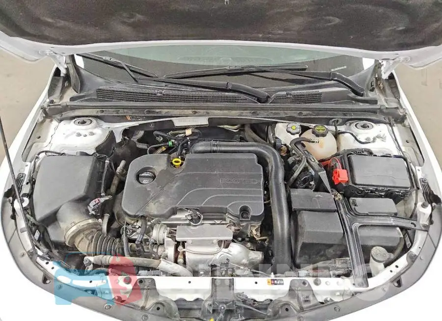 1G1ZC5ST6RF227201 Photo# 11