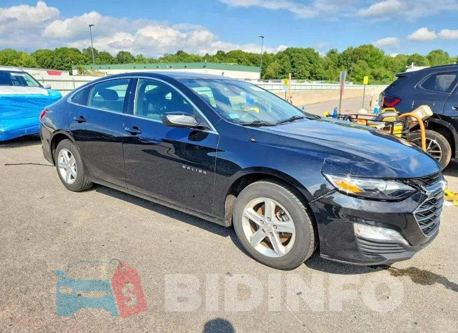 1G1ZD5ST5PF166871 Photo# 4
