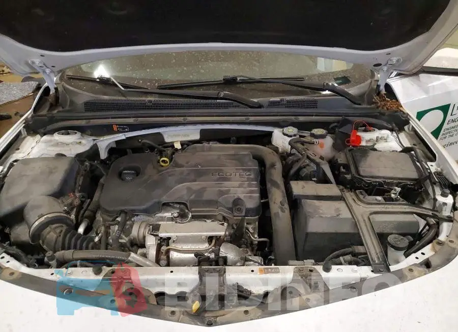 1G1ZD5ST6PF249838 Photo# 11