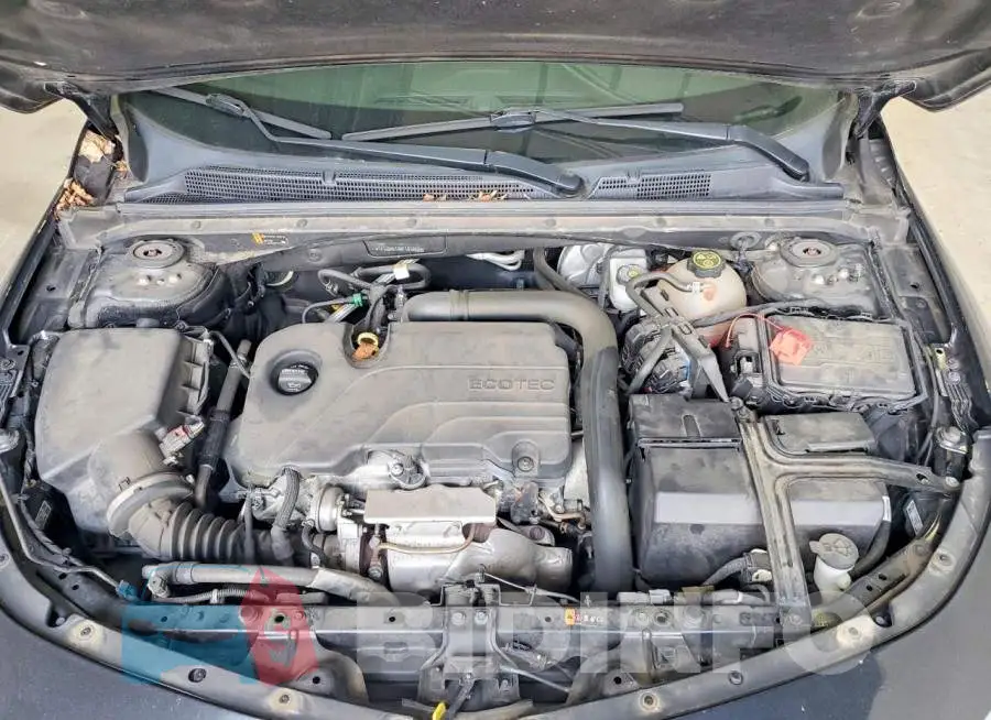 1G1ZD5ST8KF141407 Photo# 11