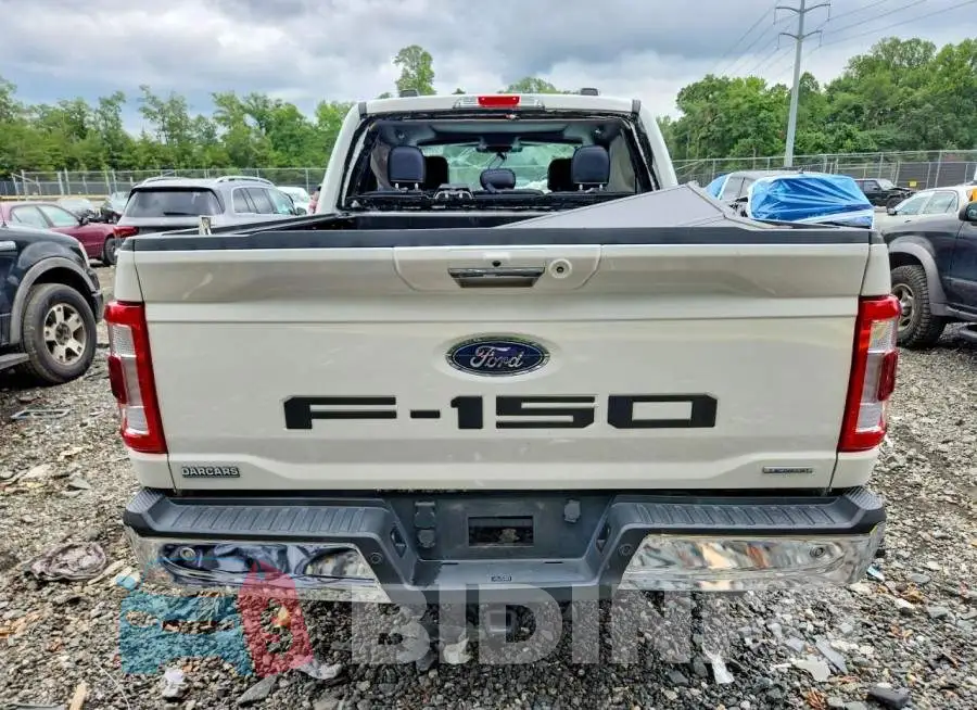 1FTFW1E89MKD80317 Photo# 6
