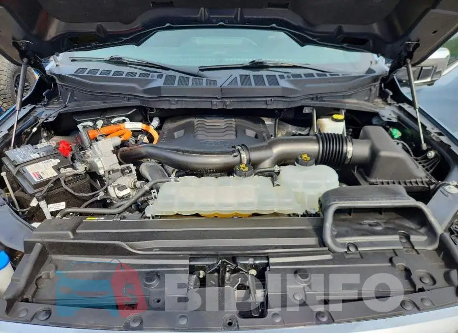1FTFW1ED9PFB99177 Photo# 11