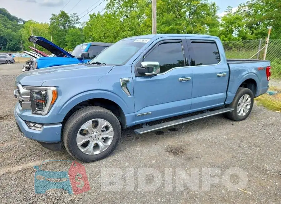 1FTFW1ED9PFB99177 Photo# 1
