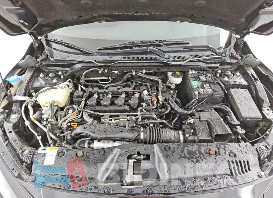 19XFC1F30ME207560 Photo# 11