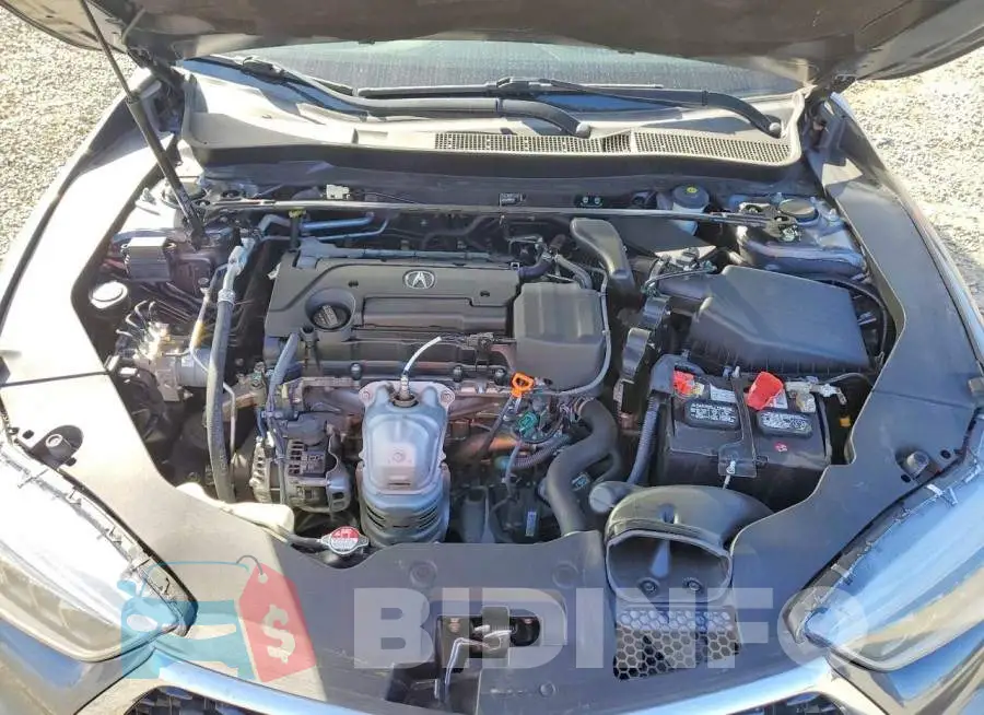 19UUB1F54JA005686 Photo# 11