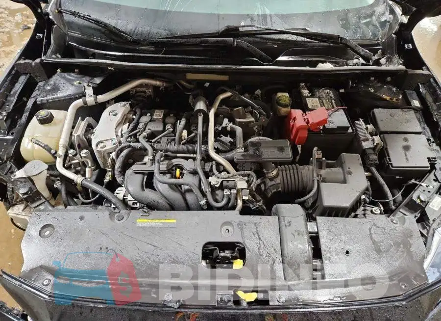 3N1AB8BV6LY259627 Photo# 11