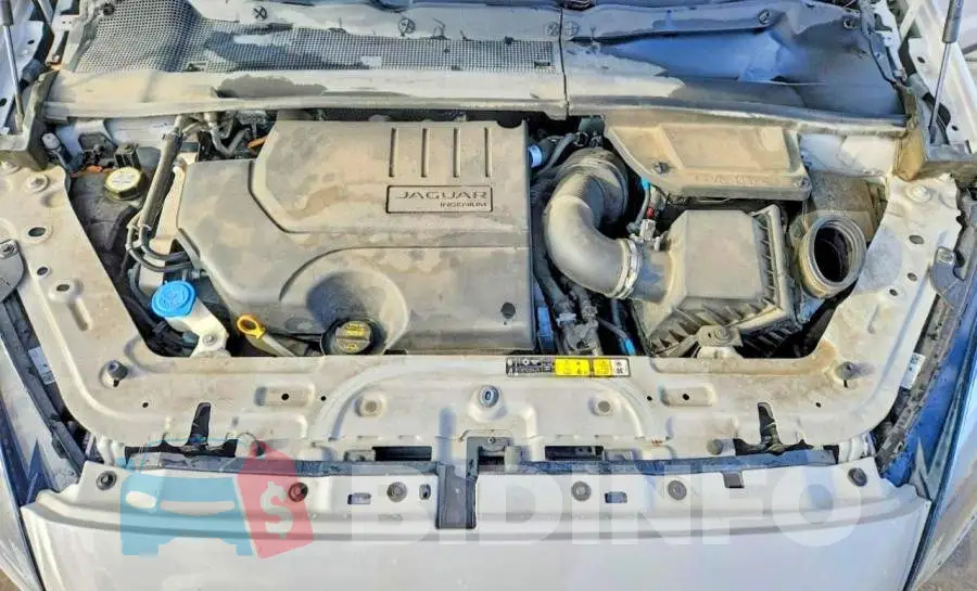 SADFK2FX4L1014622 Photo# 11