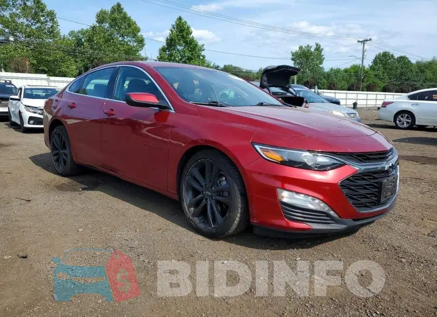 1G1ZD5ST6RF163187 Photo# 4