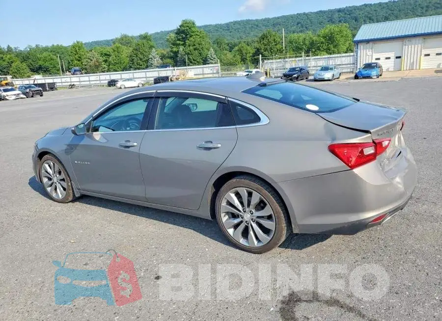 1G1ZH5SX5HF284251 Photo# 2