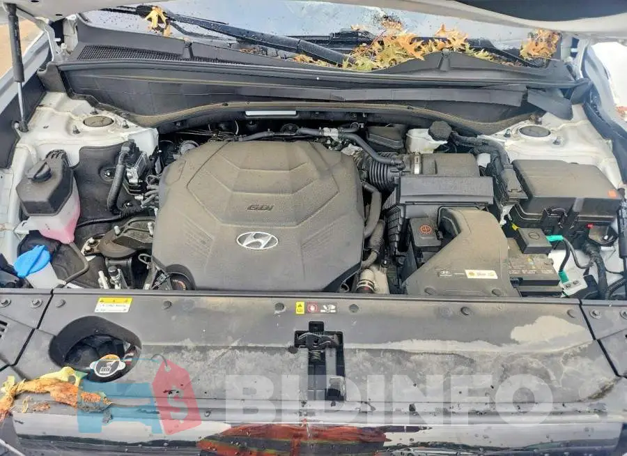 KM8R2DGE9PU495890 Photo# 12
