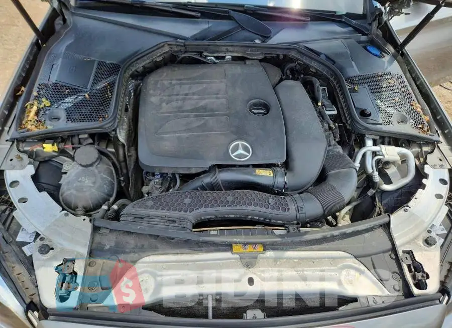 WDDWF8EB7LR562274 Photo# 11