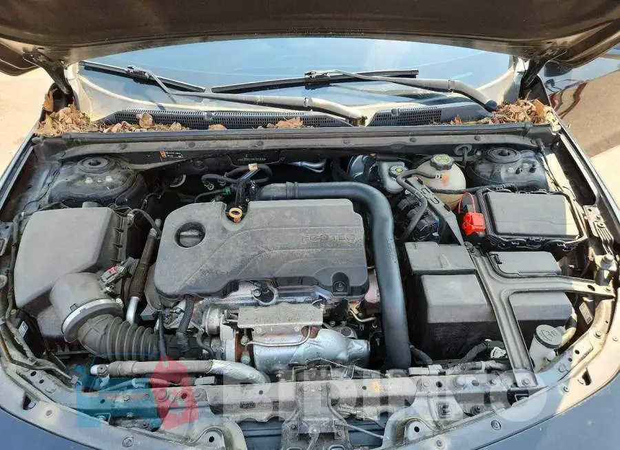 1G1ZD5ST4MF072590 Photo# 11