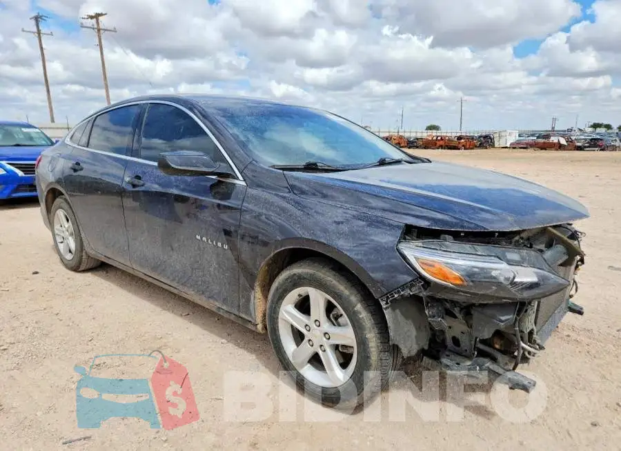 1G1ZD5ST7PF186491 Photo# 4