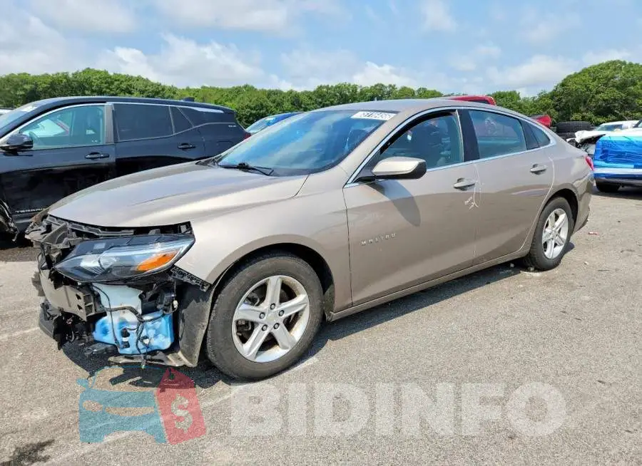 1G1ZD5STXPF166784 Photo# 1