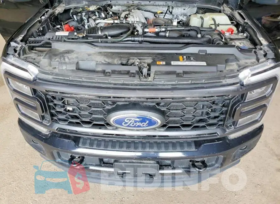1FT8W3BM1PED24686 Photo# 11