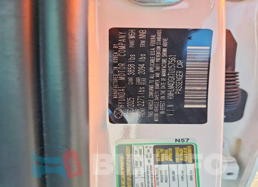 KMHLM4DGXTU157561 Photo# 12