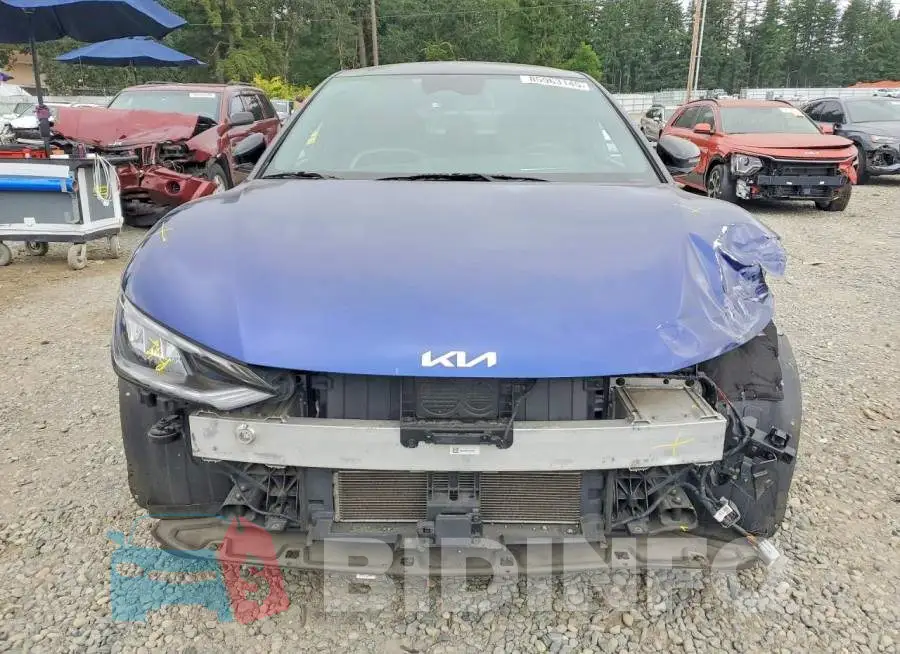 KNDC4DLCXP5116513 Photo# 5