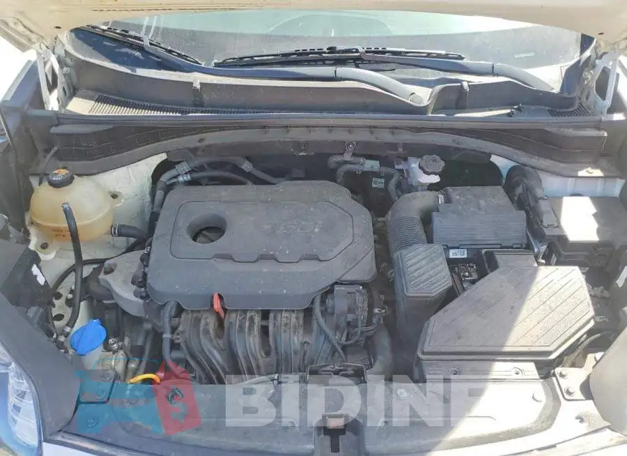 KNDPM3AC7M7919150 Photo# 12