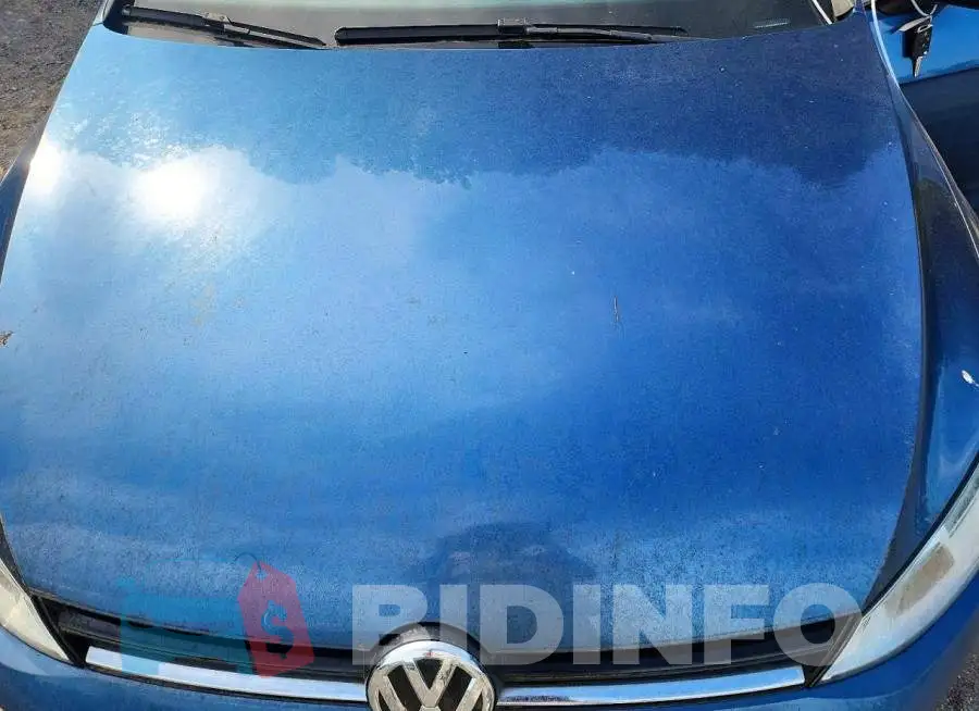 3VW217AU5HM037924 Photo# 11