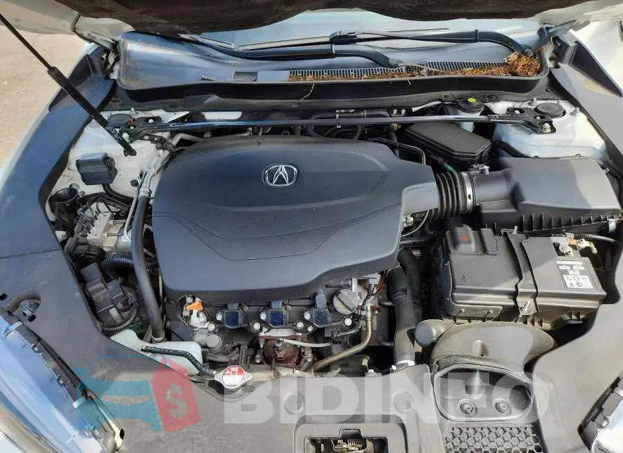 19UUB2F54JA004429 Photo# 11