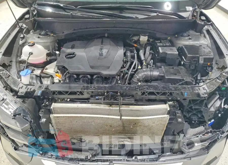 5NMJB3DE8TH696679 Photo# 12