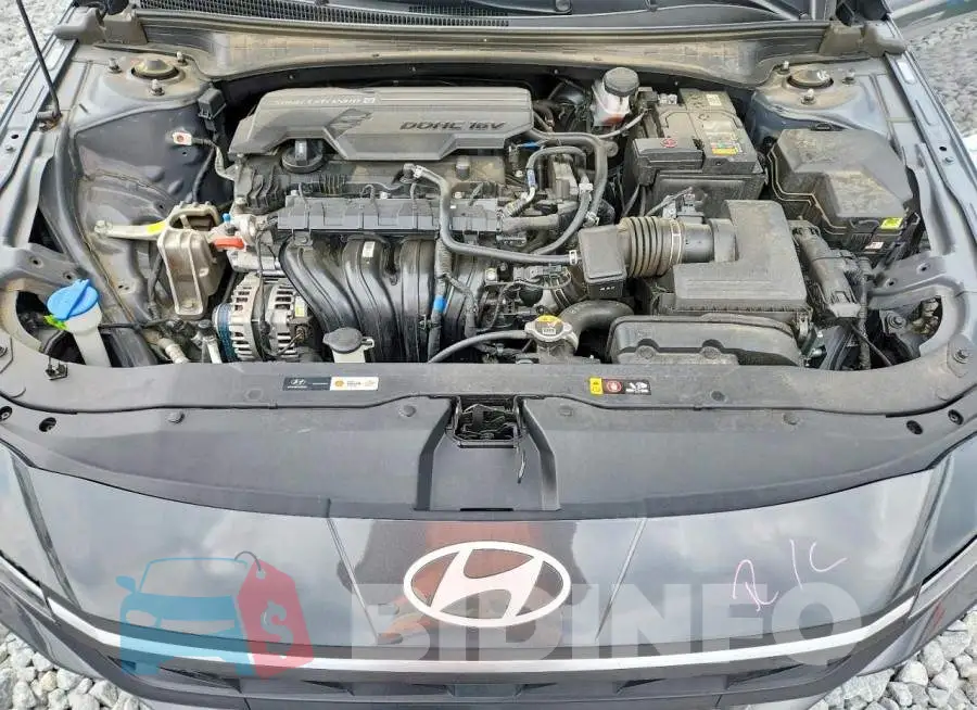KMHLM4DG6RU838020 Photo# 11